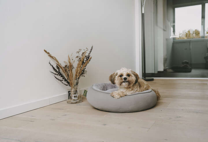 HUNTER Hunde- und Katzenliegeplatz Lincoln